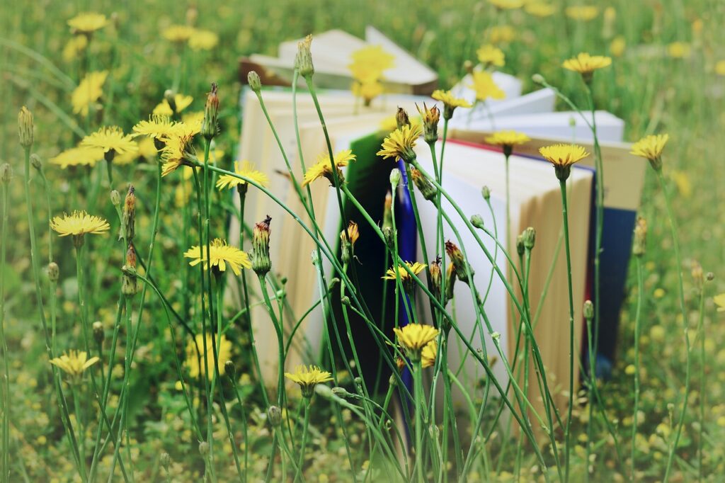 Bücher in einer Blumenwiese